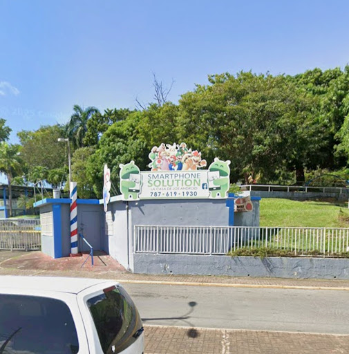 Smartphone Solution (La Casa de los Android)