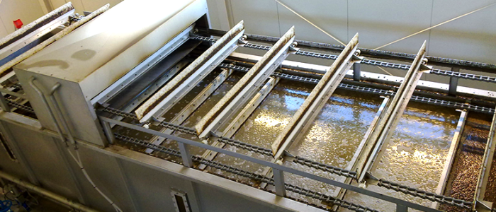 Trabajo FBR: Oportunidades Laborales en el Servicio de Rentas Internas